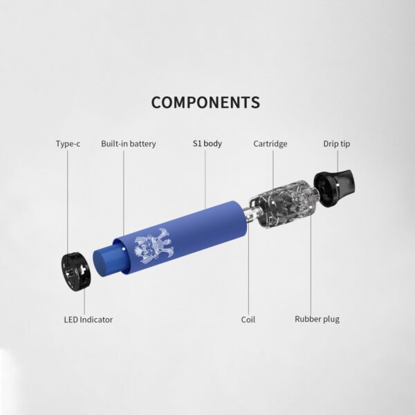 S1 DISPOSABLE BARS將軍一次性