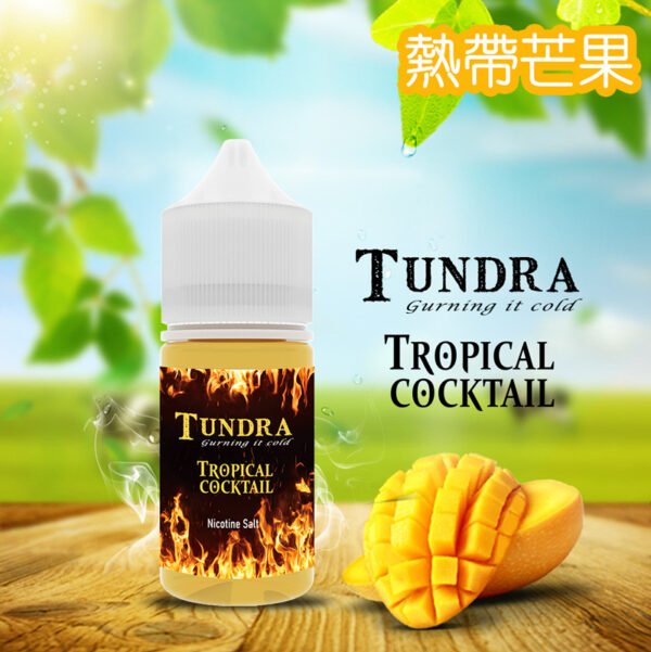 【小煙油】TUNDRA T牌芒果 30ml小煙油 果香濃郁 口感：飽滿的芒果果肉感瞬間充盈口腔，初入口是濃郁的熱帶香氣，緊接着甜潤果汁緩緩流淌，帶來真實可口的芒果體驗。 推薦理由：鮮甜濃郁，彷彿剛切開的熟透芒果，果香四溢，每一口都滿足。 適合人羣：熱愛熱帶風情、喜歡果汁感豐富的你。