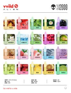 【一次性|拋棄式小煙】小野 vvild🚫外星人12000口 超多口味任選